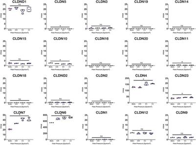 Human Induced Pluripotent Stem Cell-Derived Brain Endothelial Cells: Current Controversies